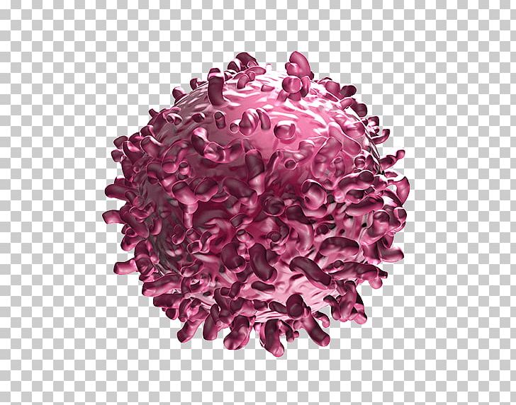 Bi-specific T-cell Engager Cancer Cell Bispecific Monoclonal Antibody T Cell PNG, Clipart, Antibody, Bispecific Tcell Engager, Cancer, Cancer Cell, Cd19 Molecule Free PNG Download