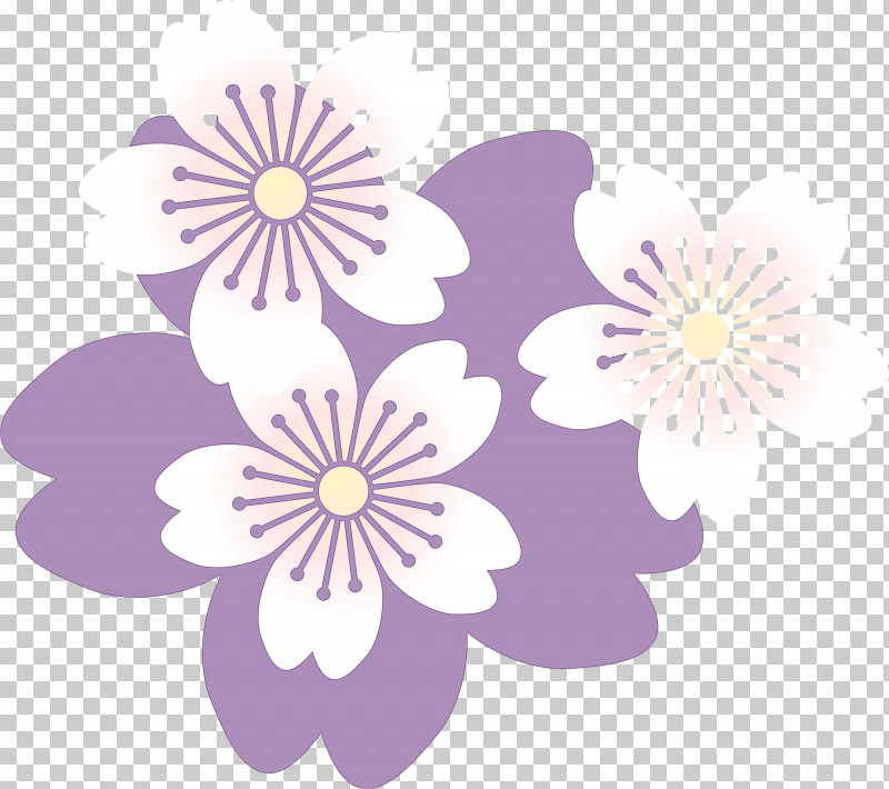 Cherry Flower PNG, Clipart, Aster, Cherry Flower, Flower, Lilac, Petal Free PNG Download