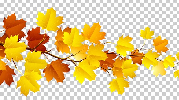 Autumn Leaf Color PNG, Clipart, Autumn, Autumn Leaf Color, Branch, Desktop Wallpaper, Document Free PNG Download