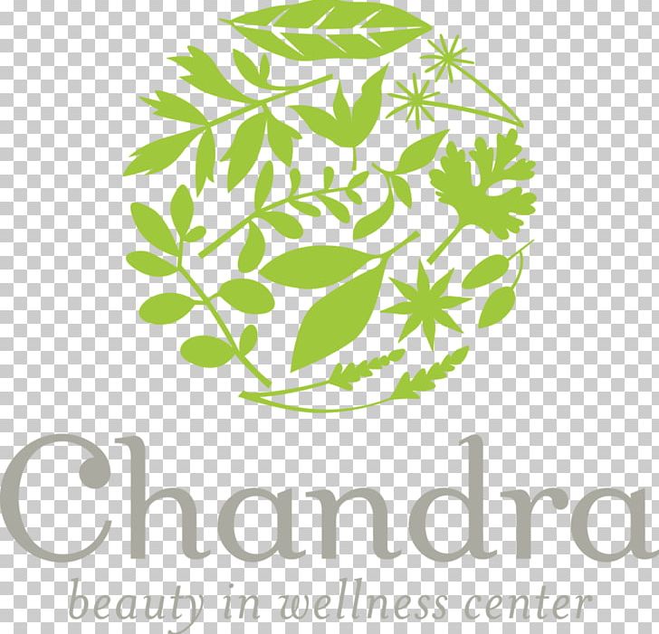 Chandra Beauty In Wellness Center Herbal Wellness Center Massage Health PNG, Clipart, Ache, Area, Beauty, Branch, Brand Free PNG Download
