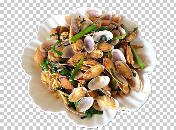 Clam PNG, Clipart, Animal Source Foods, Creative Ads, Creative Artwork, Creative Background, Creative Logo Design Free PNG Download