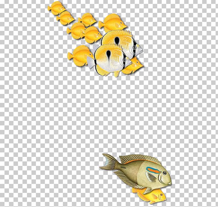 Fish Animal PNG, Clipart, Animal, Animal Figure, Fish, Organism, Seafood Free PNG Download