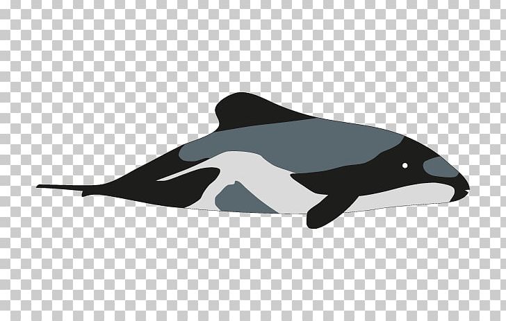 Hector's Dolphin Porpoise Killer Whale Drawing PNG, Clipart,  Free PNG Download