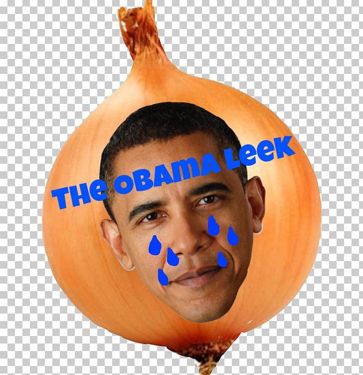Pumpkin Calabaza Winter Squash United States Of America PNG, Clipart, Barack Obama, Calabaza, Cucurbita, Food, Orange Free PNG Download