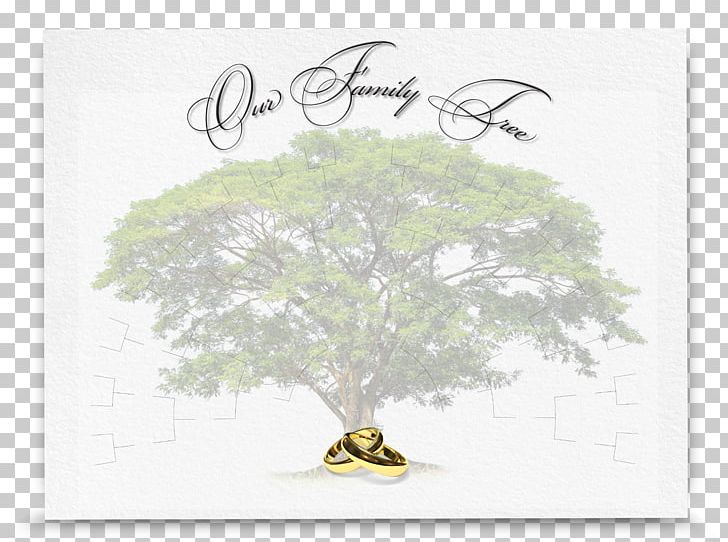 Tree Photography PNG, Clipart, Bird, Branch, Greeting Card, Nature, Photography Free PNG Download