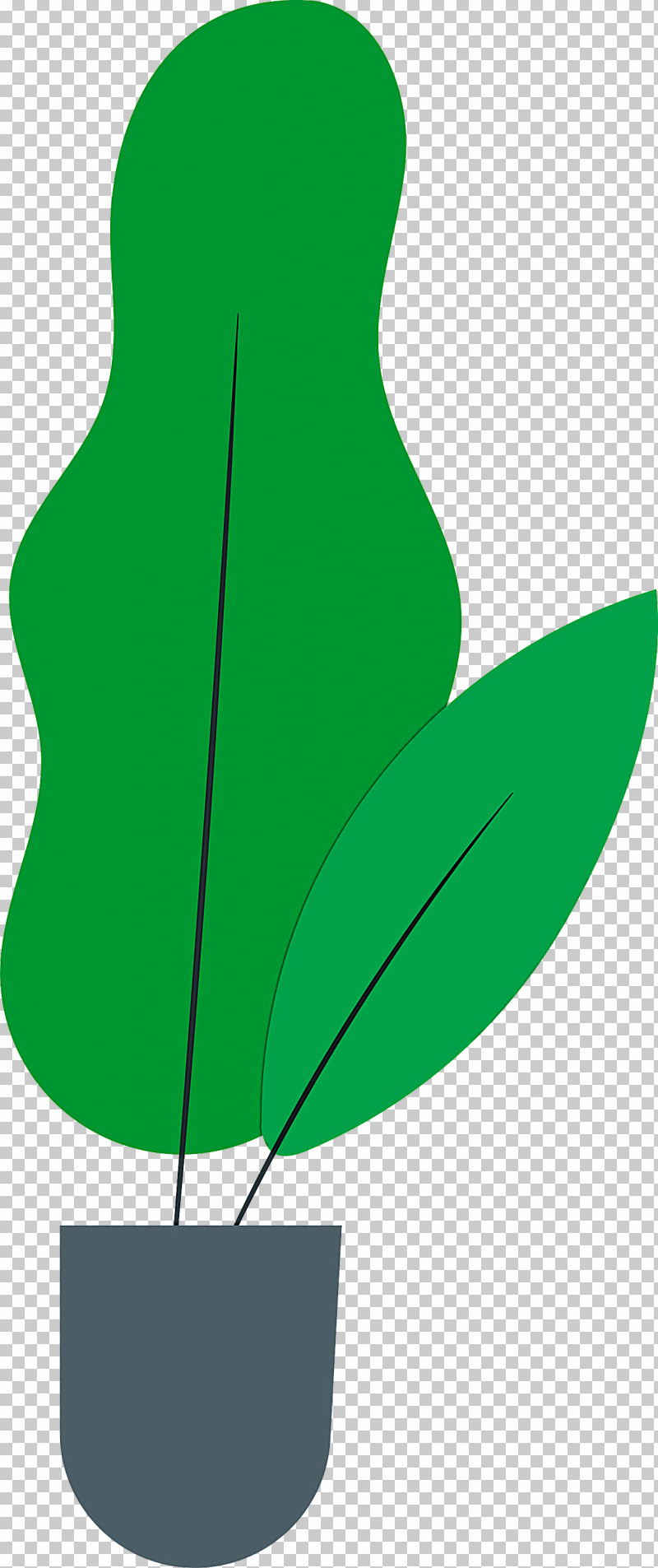 Leaf Plant Stem Flower Branch Petal PNG, Clipart, Biology, Branch, Fig Trees, Flower, Green Free PNG Download