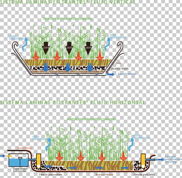 Water Resources Tree Line Point PNG, Clipart, Area, Diagram, Graphic Design, Grass, Lawn Free PNG Download