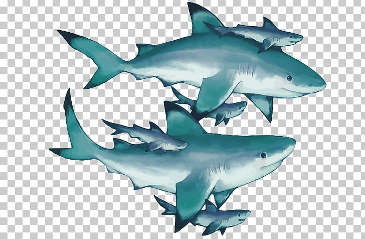 Watercolor Painting Lamniformes PNG, Clipart, Animals, Art, Carcharhiniformes, Cartilaginous Fish, Computer Graphics Free PNG Download