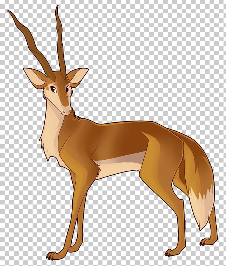 White-tailed Deer Gazelle Dog Antler PNG, Clipart, Animal, Animals, Antelope, Antler, Canidae Free PNG Download