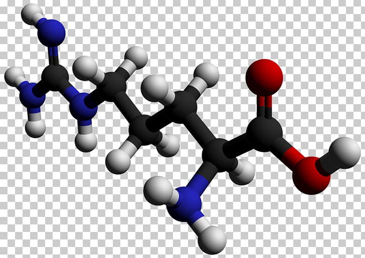 Asymmetric Dimethylarginine Essential Amino Acid PNG, Clipart, Abiogenesis, Acid, Amine, Amino Acid, Arginine Free PNG Download