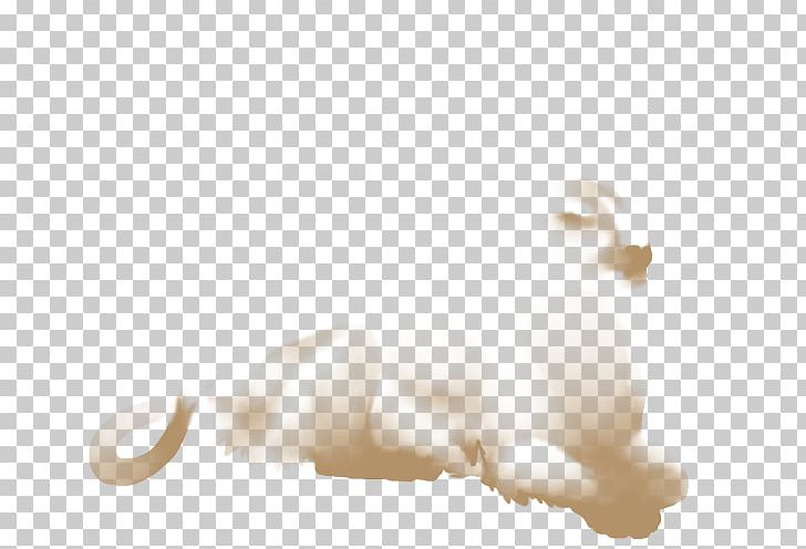 Cat Dog Ear Canidae Tail PNG, Clipart, Animals, Canidae, Cat, Cat Like Mammal, Dog Free PNG Download