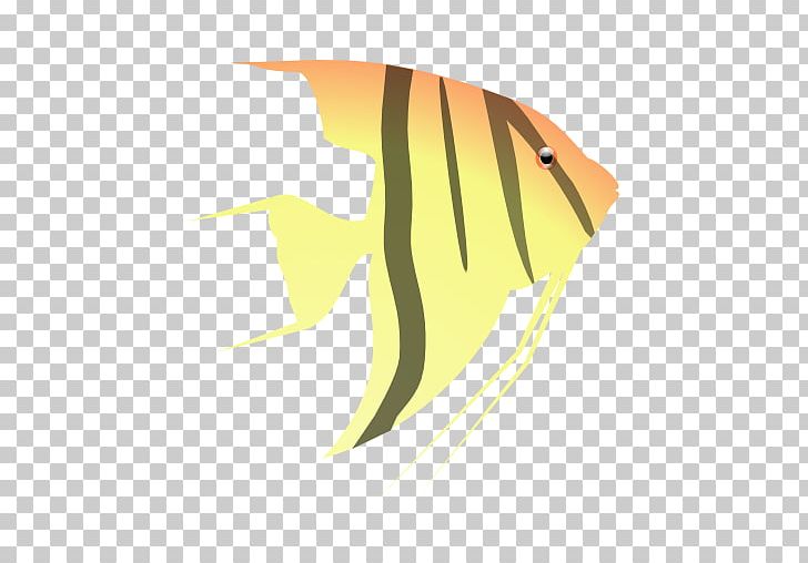 Freshwater Angelfish Fin PNG, Clipart, Angelfish, Angel Fish, Animals, Aquarium, Blue Ring Angelfish Free PNG Download