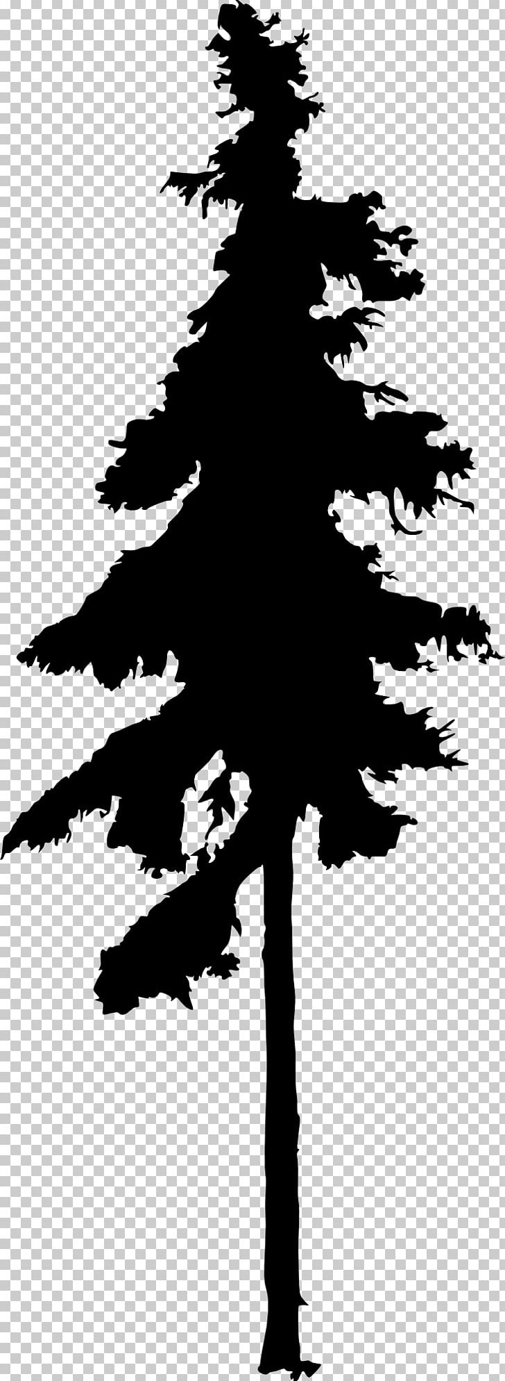 Fir Tree Drawing Silhouette Conifers PNG, Clipart, Animals, Black And White, Branch, Christmas Tree, Conifer Free PNG Download