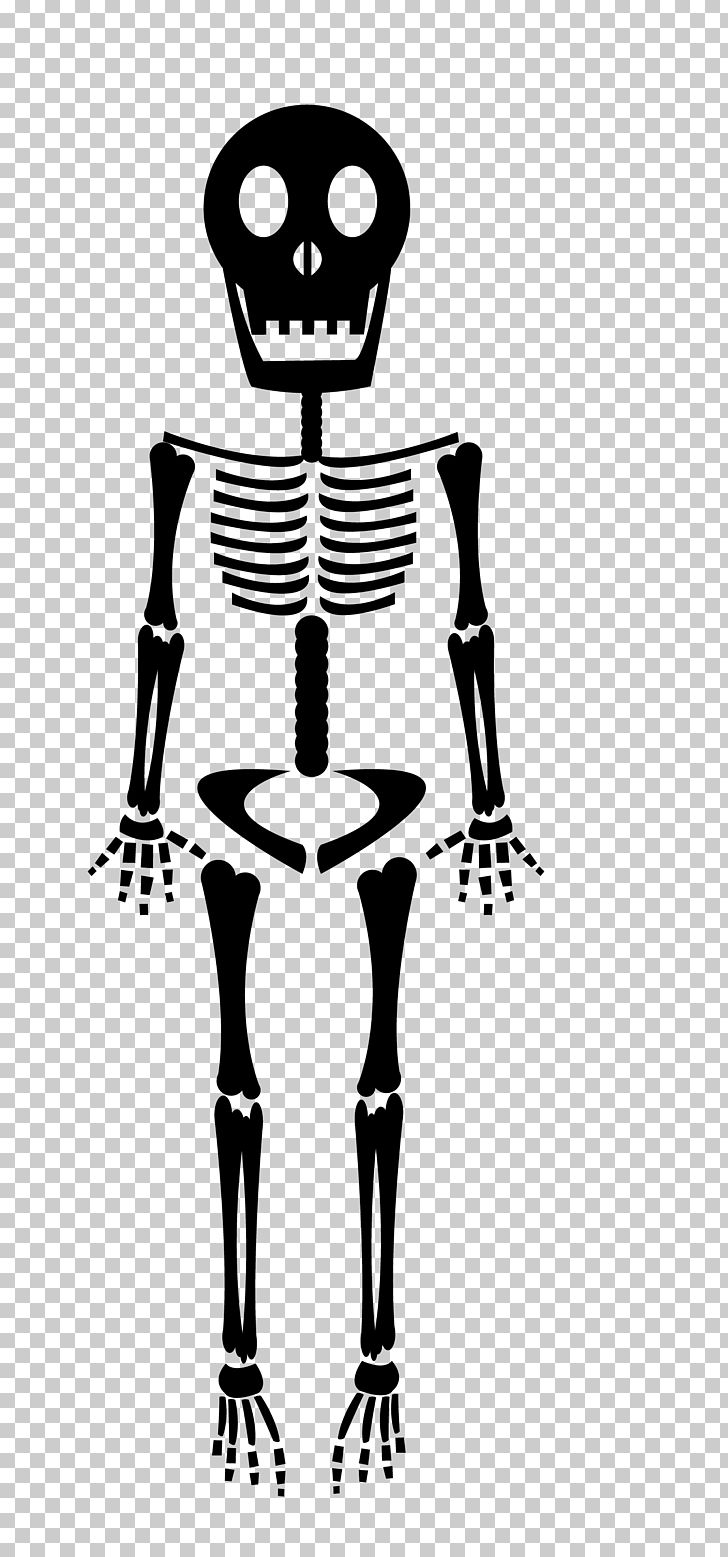 Human Skeleton Bone PNG, Clipart, Art, Black, Black And White, Bone, Computer Icons Free PNG Download