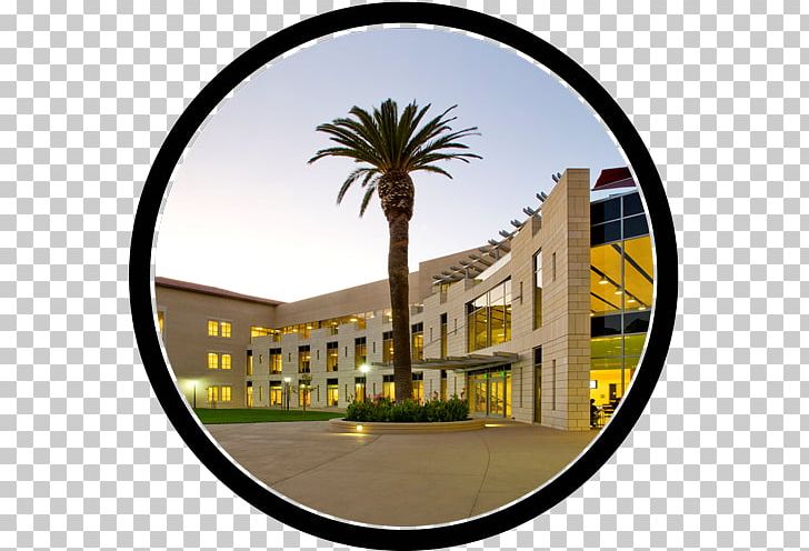 Santa Clara University SCU Leavey School Of Business University Of California PNG, Clipart, Babson College, Business School, Educa, Graduate University, Higher Education Free PNG Download