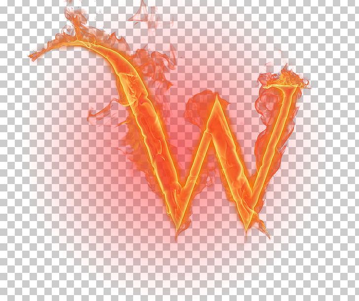 W Letter English Alphabet Flame PNG, Clipart, Alphabet, Burning, Burning Letter, Combustion, Computer Wallpaper Free PNG Download