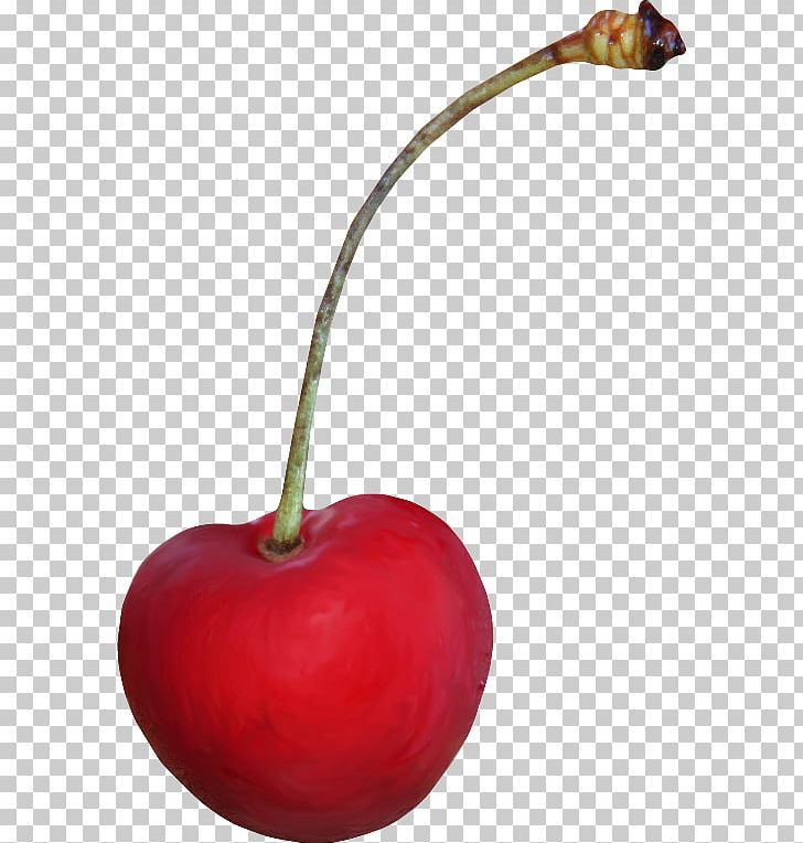 Maraschino Cherry Cerasus PNG, Clipart, Apple, Berry, Cerasus, Cherry, Food Free PNG Download