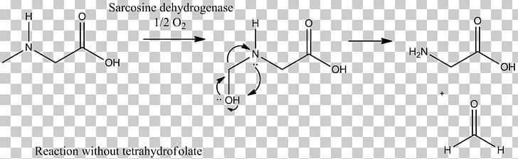 Sarcosine Dehydrogenase Enzyme Sarcosinemia Alanopine Dehydrogenase PNG, Clipart, Angle, Black And White, Catalysis, Circle, Dehydrogenase Free PNG Download