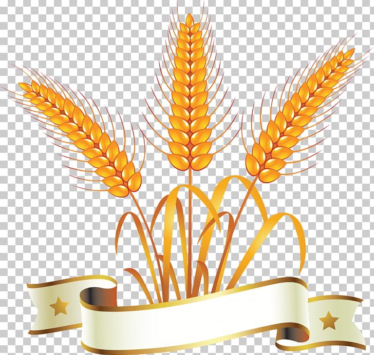 Wheat Portable Network Graphics Graphics PNG, Clipart, Bread, Cereal, Commodity, Computer Icons, Corn Free PNG Download