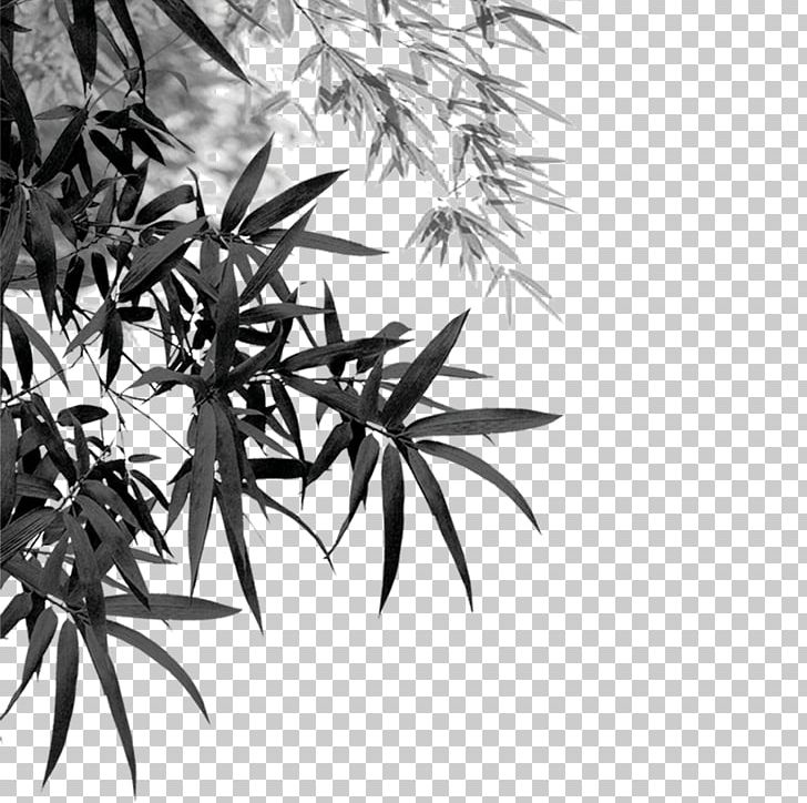 Bamboo Ink Brush PNG, Clipart, Bamboo 19 0 1, Bamboo Border, Bamboo Frame, Bamboo Leaf, Bamboo Leaves Free PNG Download