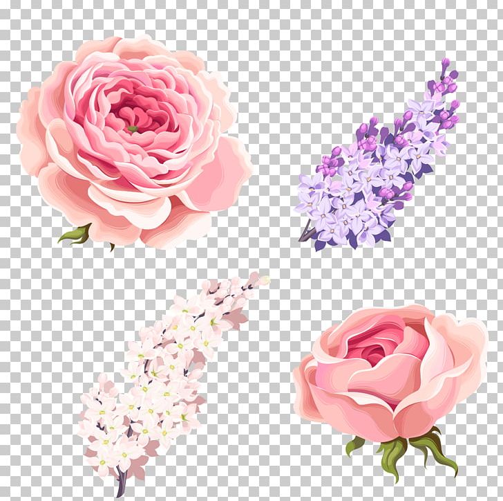 Garden Roses Centifolia Roses Beach Rose Pink PNG, Clipart, Artificial Flower, Cut Flowers, Download, Floral Design, Floristry Free PNG Download