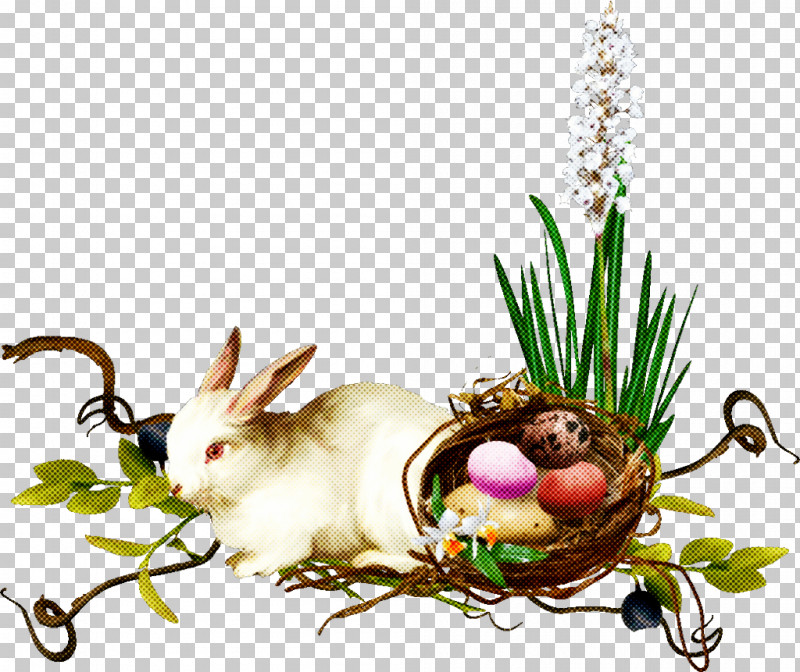 Easter Bunny PNG, Clipart, Easter, Easter Bunny, Flower, Garnish, Grass Free PNG Download