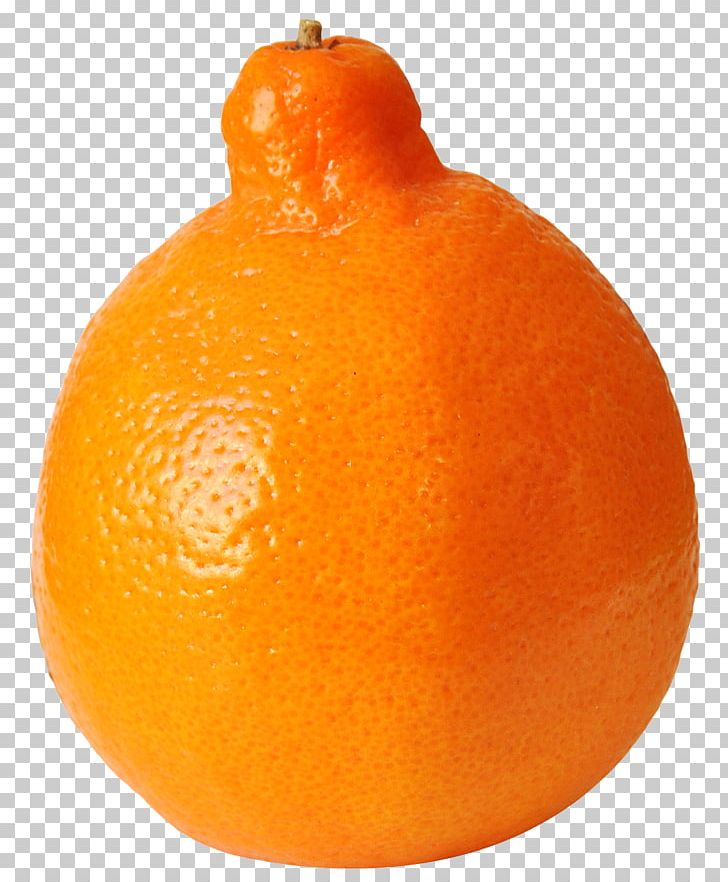 Clementine Tangelo Tangerine Ugli Fruit Rangpur PNG, Clipart, Bitter Orange, Blood Orange, Citric Acid, Citrus, Citrus Fruit Free PNG Download