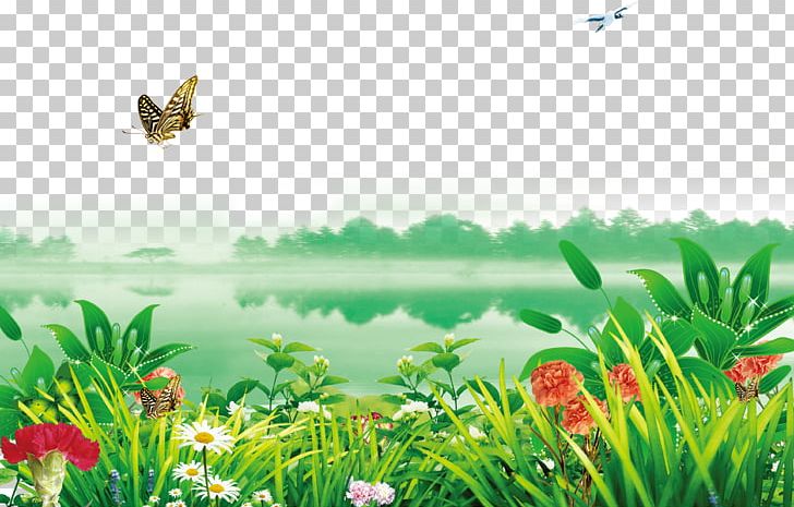 Poster PNG, Clipart, Background Vector, Biome, Computer Wallpaper, Decorated, Decorated Vector Free PNG Download