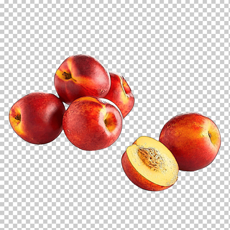 Natural Foods European Plum Fruit Food Nectarines PNG, Clipart, Accessory Fruit, Apple, Camu Camu, Drupe, European Plum Free PNG Download