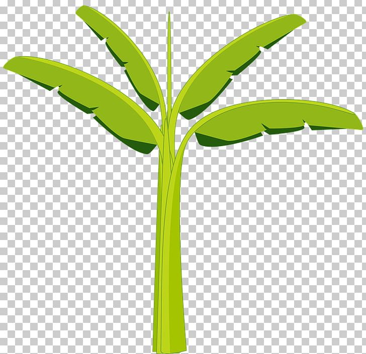 Banana Leaf Portable Network Graphics Graphics PNG, Clipart, Banana, Banana Leaf, Drawing, Flower, Food Free PNG Download