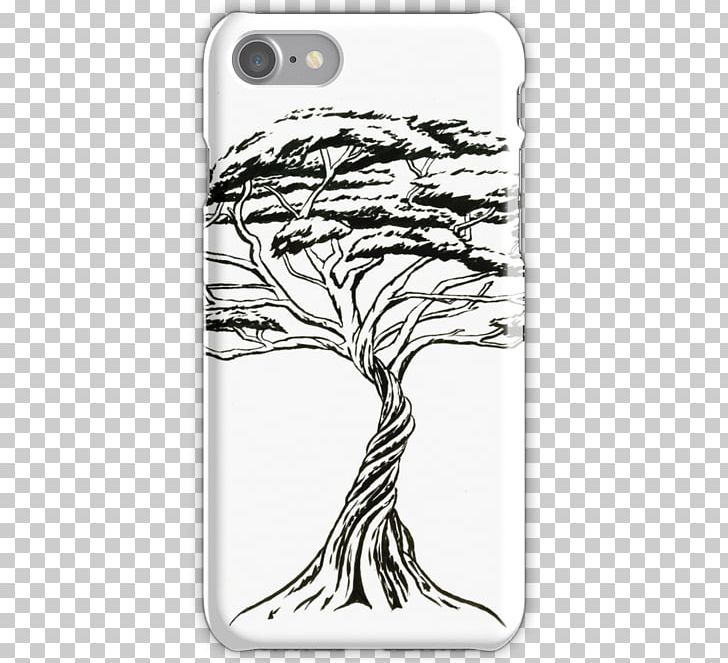 Bonsai Drawing Tree Vachellia Drepanolobium Vachellia Tortilis PNG, Clipart, Adansonia Digitata, Black, Black And White, Bonsai, Drawing Free PNG Download