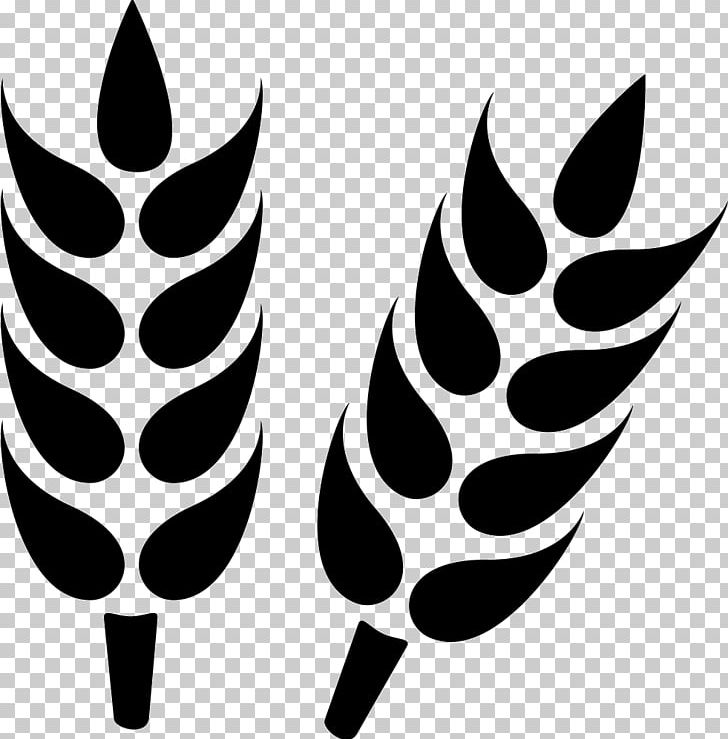 Computer Icons Wheat Cereal PNG, Clipart, Black And White, Cereal, Computer Icons, Ear, Flower Free PNG Download