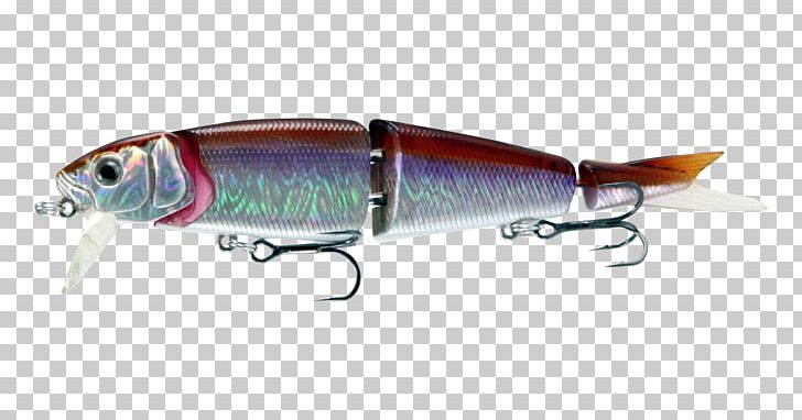 Sardine Spoon Lure Herring Oily Fish Fishing PNG, Clipart, Bait, Bony Fish, Fish, Fishing, Fishing Bait Free PNG Download