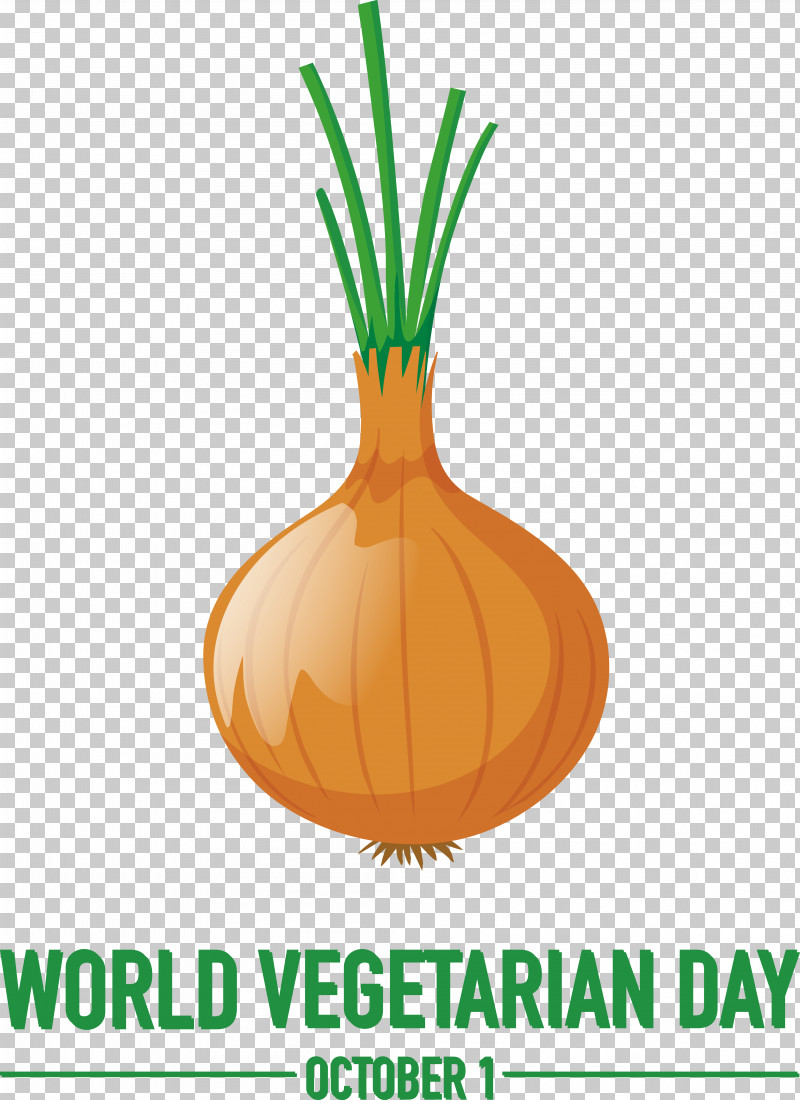 Plant Onion Squash Line Supermoto PNG, Clipart, Biology, Geometry, Line, Mathematics, Onion Free PNG Download