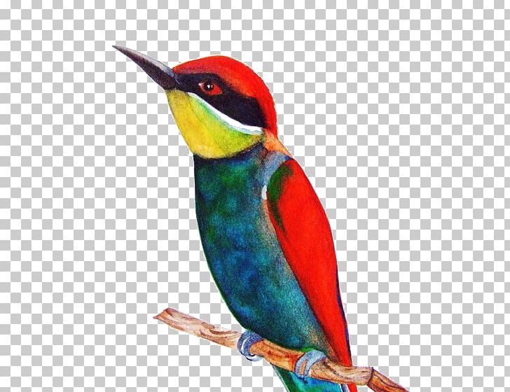 Bird Watercolor Painting Drawing PNG, Clipart, Animals, Bird, Bird I, Button, Cartoon Free PNG Download