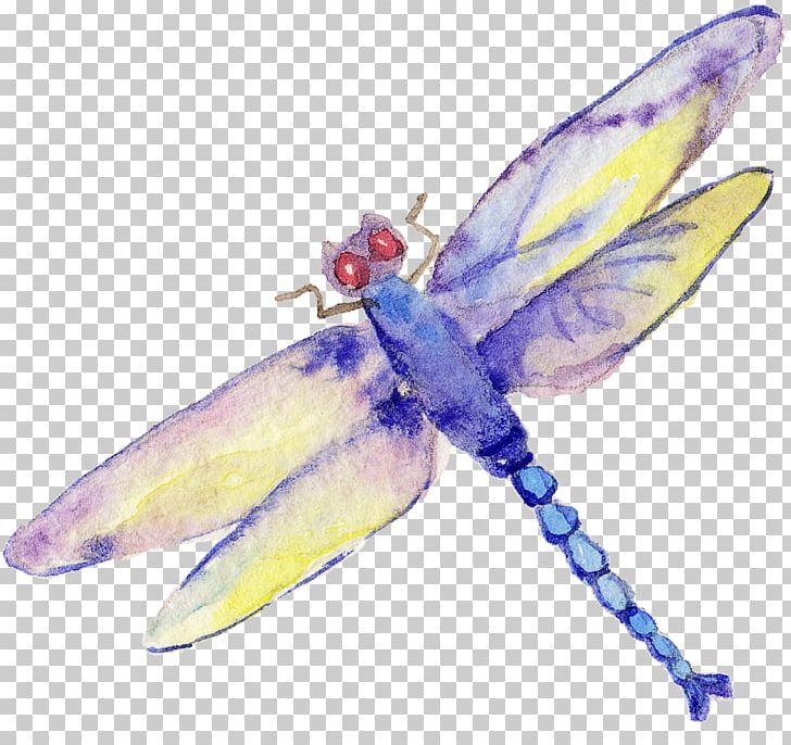 Dragonfly Insect PNG, Clipart, Bug, Cartoon Dragonfly, Dragonflies, Dragonfly Wings, Dragonfly With Flower Free PNG Download