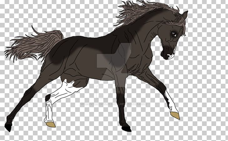 Mane Mustang Foal Stallion Colt PNG, Clipart, Animal Figure, Bridle, Colt, English Riding, Equestrian Free PNG Download