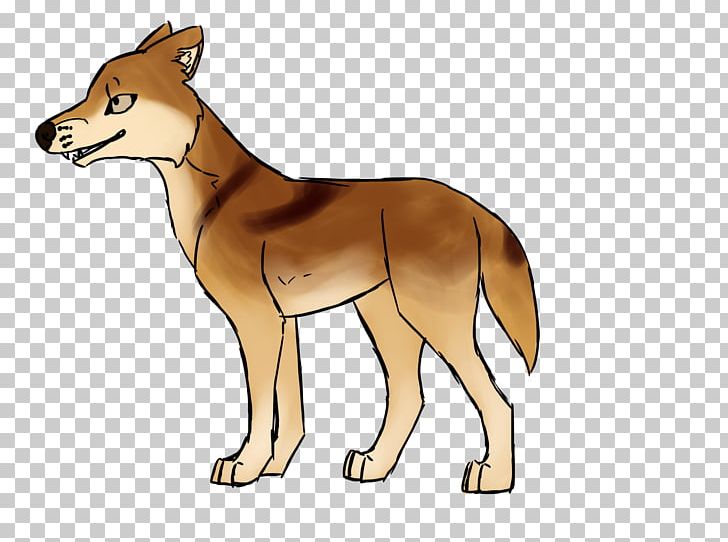 Red Fox Coyote Dhole Dingo Jackal PNG, Clipart, Animals, Carnivoran, Cartoon, Coyote, Dhole Free PNG Download