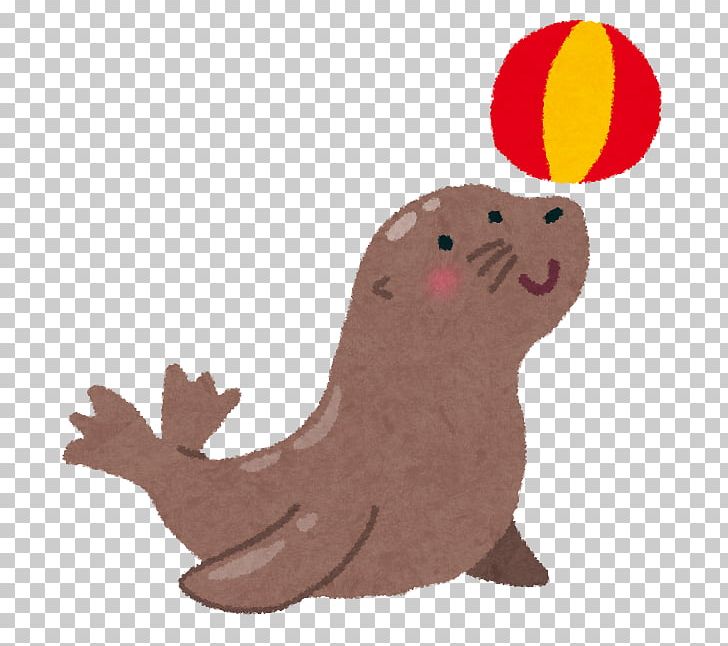 Sea Lion Earless Seal いらすとや Png Clipart Adult Animal Animals Beak Beaver Free Png Download