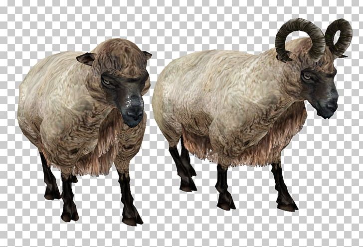 Sheep Goat PNG, Clipart, Animals, Cattle Like Mammal, Computer Icons, Cow Goat Family, Dall Sheep Free PNG Download