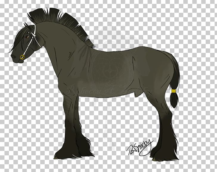 Stallion Mare Foal Mustang Mane PNG, Clipart, Bridle, Colt, Foal, Horse, Horse Harness Free PNG Download