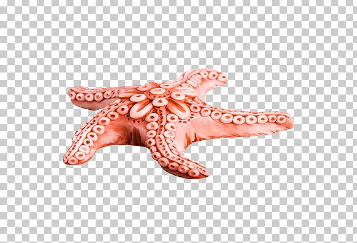 Starfish Pixel PNG, Clipart, Animals, Beautiful Starfish, Brittle Star, Cape, Cartoon Starfish Free PNG Download