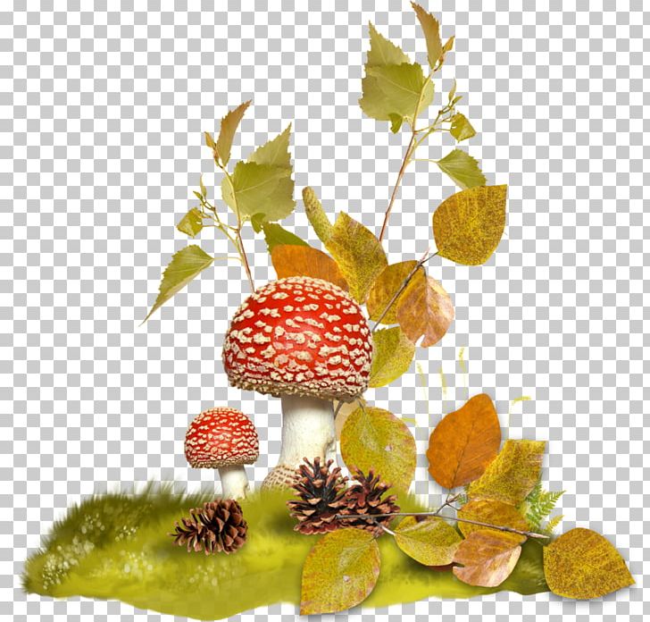 Fungus PNG, Clipart, Autumn, Berry, Branch, Digital Image, Fleur Free PNG Download