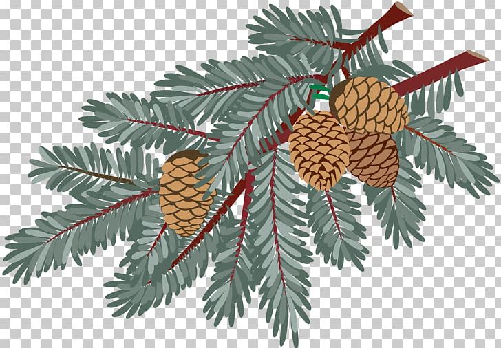 Spruce New Year Christmas PNG, Clipart, Branch, Christmas, Christmas Decoration, Christmas Ornament, Con Free PNG Download