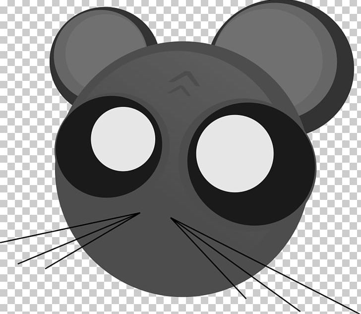 Cat Kitten PNG, Clipart, Animals, Black, Black And White, Black Cat, Carnivoran Free PNG Download