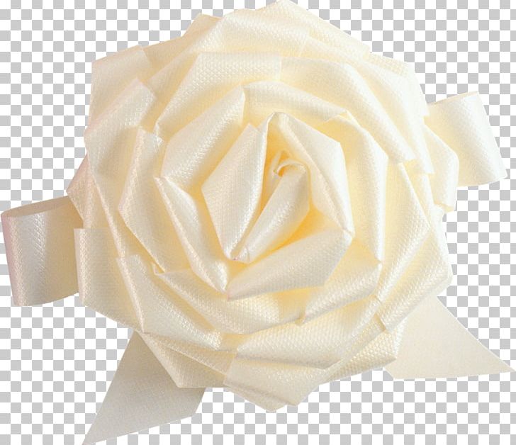 Garden Roses Flower PNG, Clipart, Beige, Bowknot, Cut Flowers, Fashion, Flower Free PNG Download