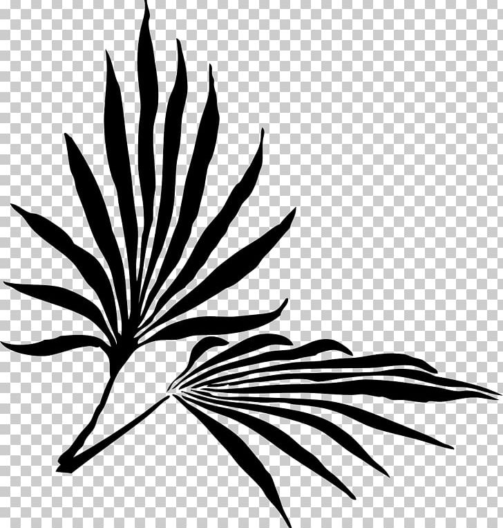 Palm Branch Frond Arecaceae PNG, Clipart, Arecaceae, Artwork, Black And White, Branch, Date Palm Free PNG Download