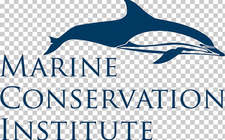 World Ocean Marine Conservation Institute Marine Protected Area PNG, Clipart, Beak, Brand, Common Bottlenose Dolphin, Conservation, Coral Reef Free PNG Download