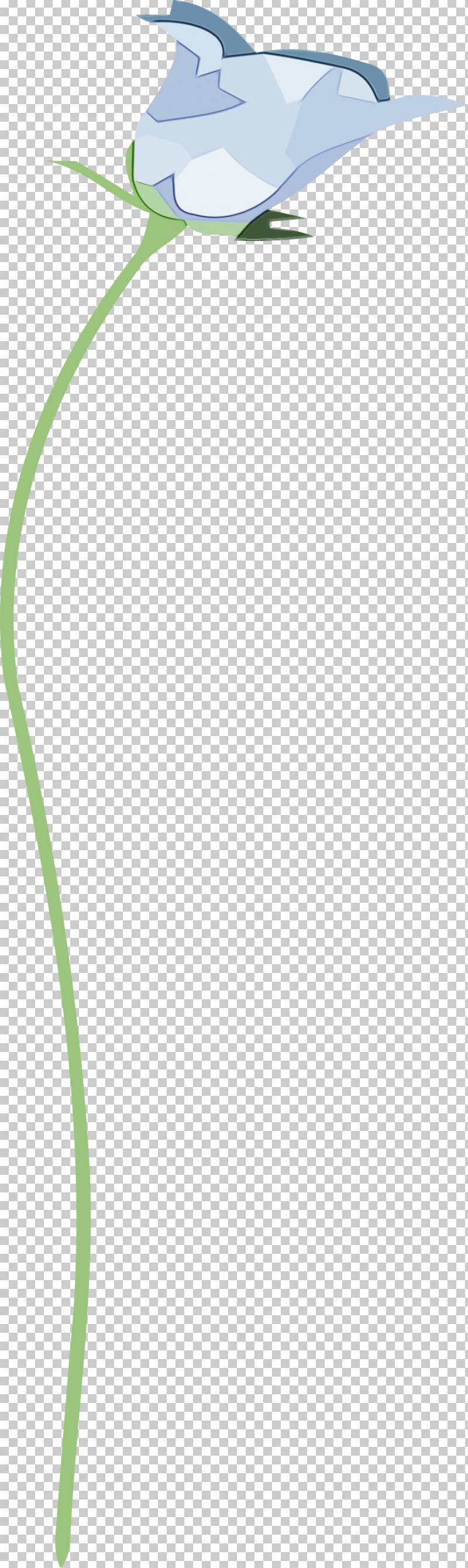 Leaf Plant Stem Line Flower Plants PNG, Clipart, Biology, Flower, Geometry, Leaf, Line Free PNG Download