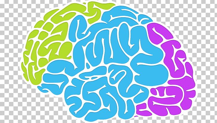 Brain Intelligence Neuroscience Memory Cognition PNG, Clipart, Area, Art, Brain, Caffeine, Cognition Free PNG Download